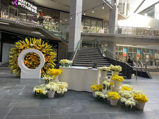 Activations With Miei