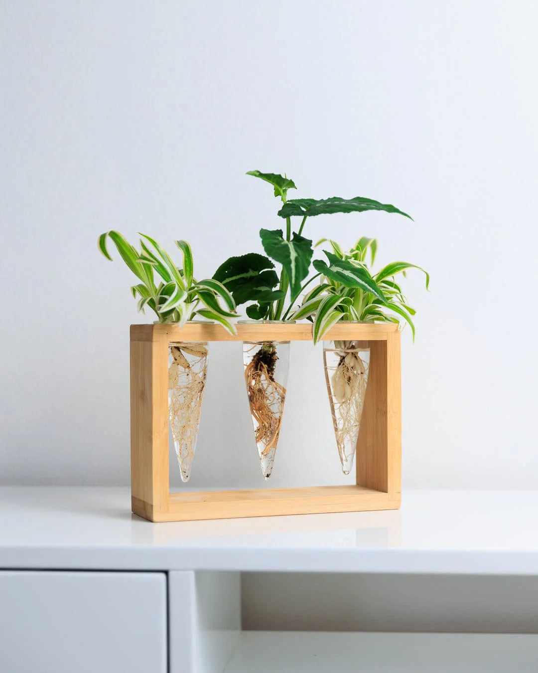 Cup O flora - Proppi 3