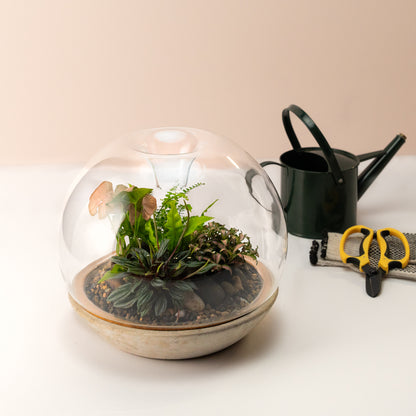 Biodome Terrarium