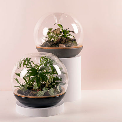 Biodome Terrarium